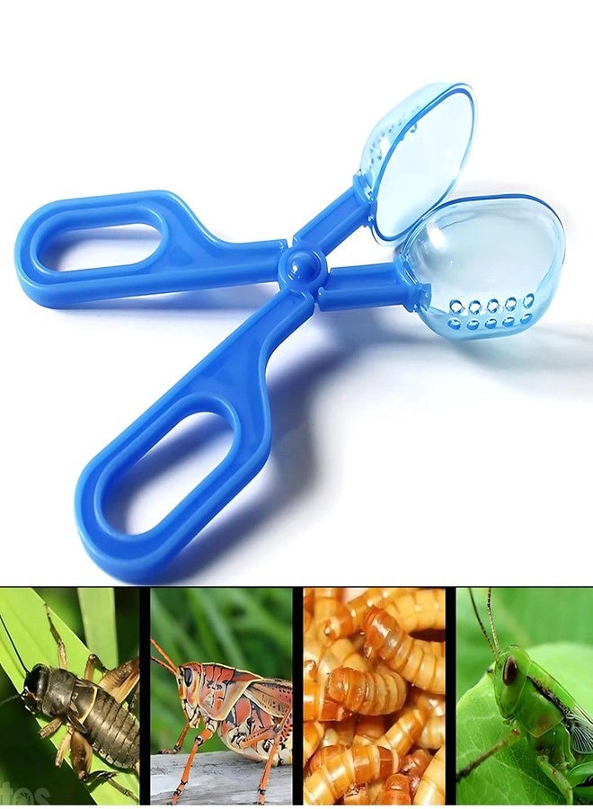 VAYINATO® 1pc Durable Plastic Reptile Feeding Clamps, Convenient Pet Feeding Clip for Breadworms and Insects for Tortoises, Lizards, Frogs, Spiders by Petzlifeworld - Image 1